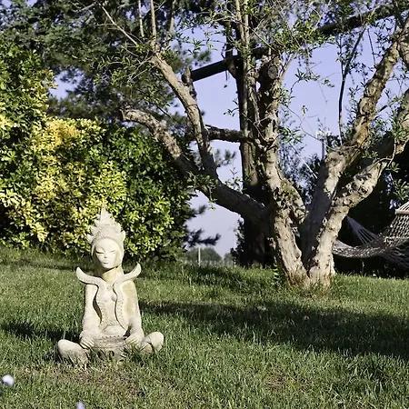 Agricola Samadhi